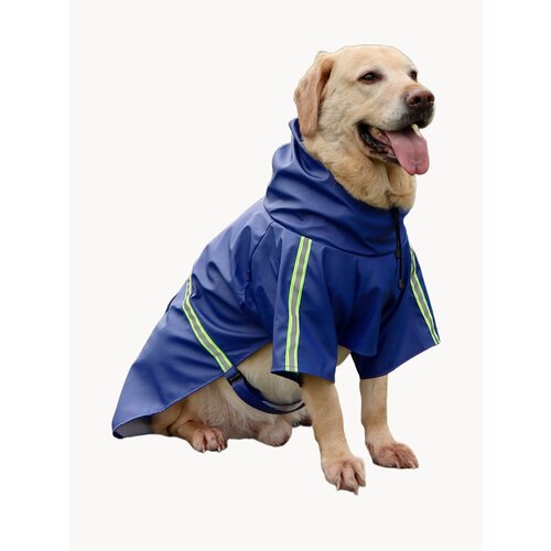 Дождевик Rexy crew со светоотражающими лентами, одежда для собак средних и крупных пород , цвет синий, размер 2XL