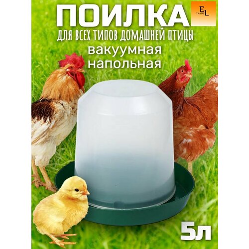 Поилка для домашней птицы 5 литров вакуумная 260 мм