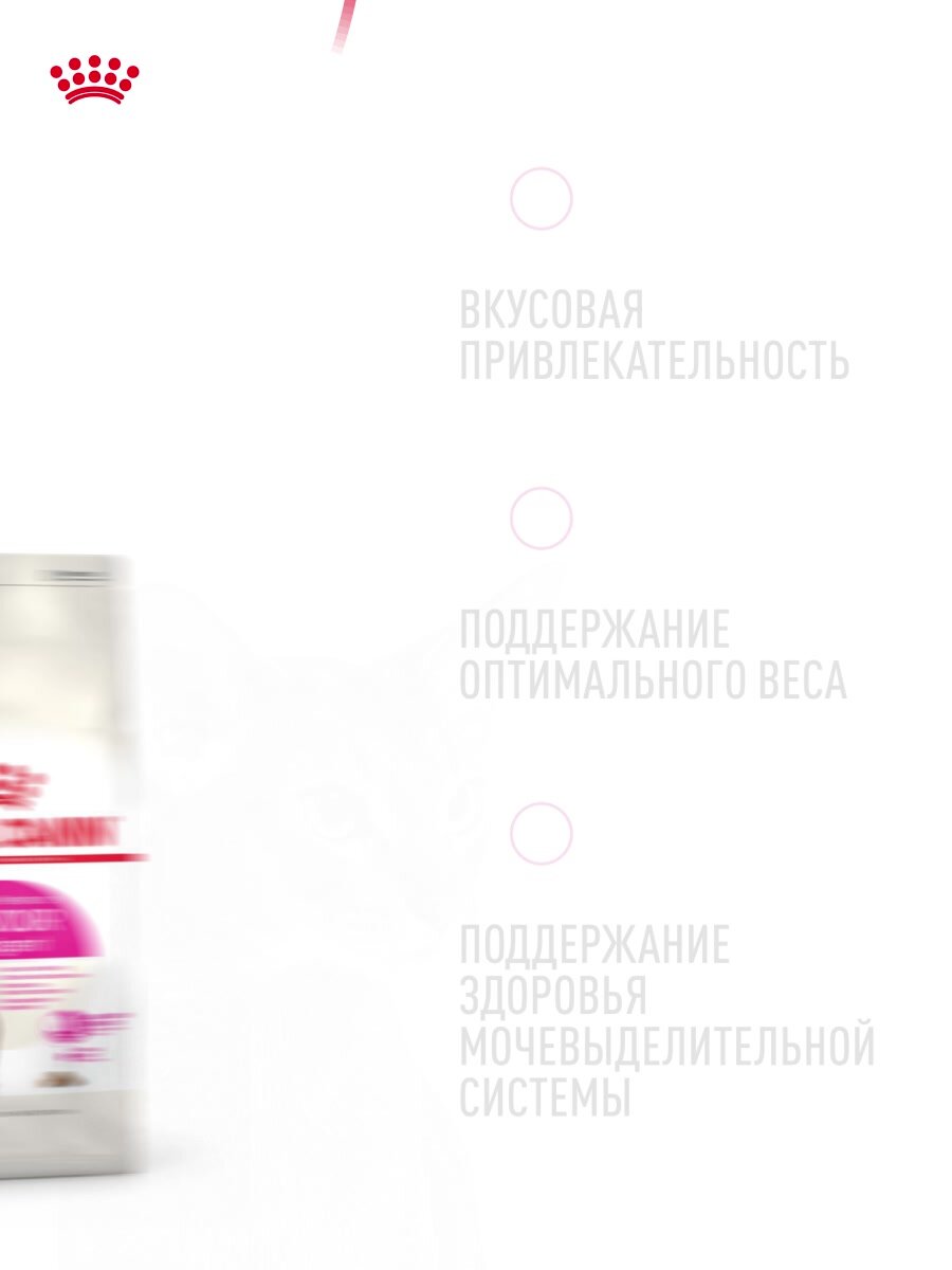 Сухой корм для кошек Royal Canin Savour Exigent для привередливых, 0,4 кг — фото 1