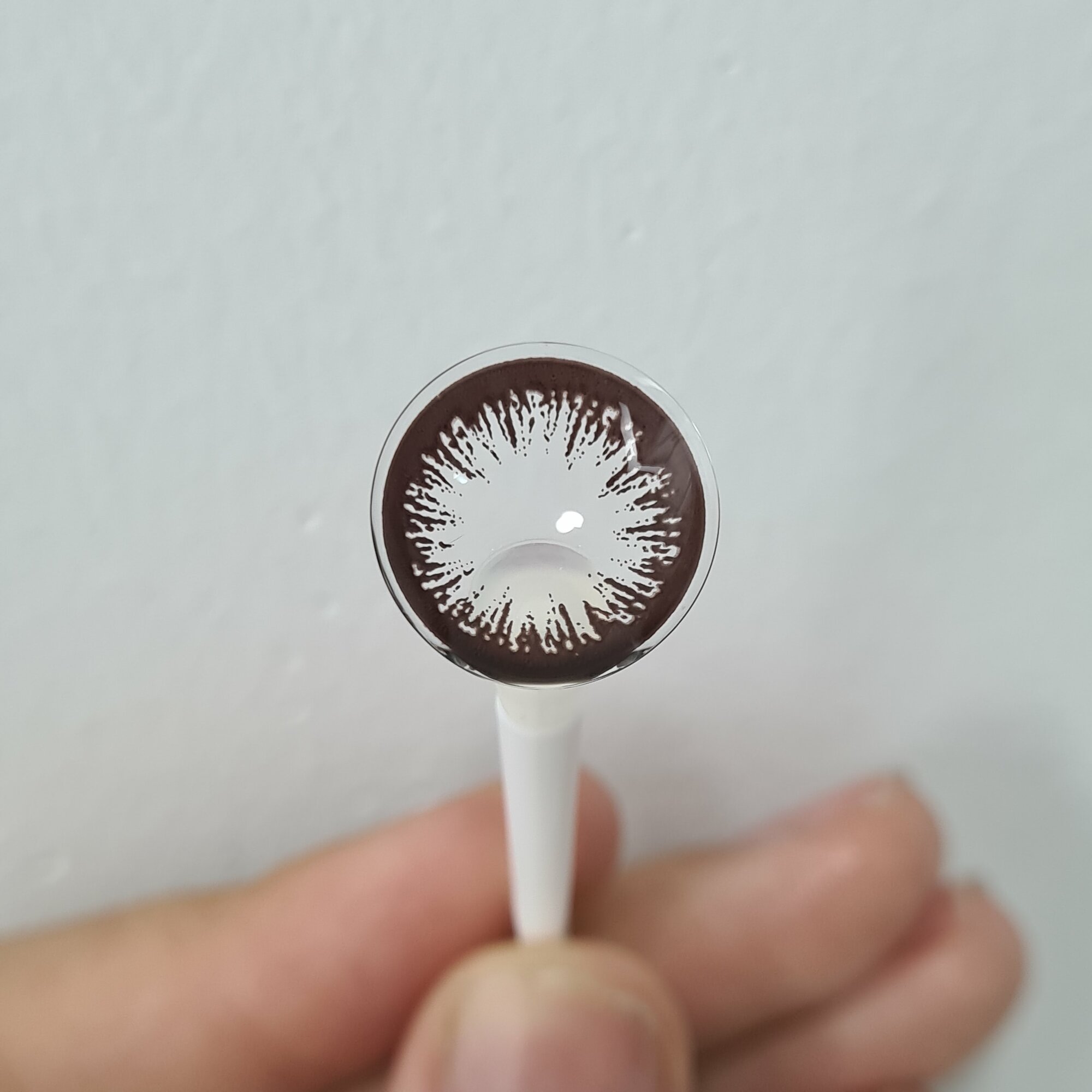 MG111 CHOCO -2.50 Контактные линзы для зрения, шоколадные, BC 8.6, DIA 14.2, 12 месяцев — фото 1