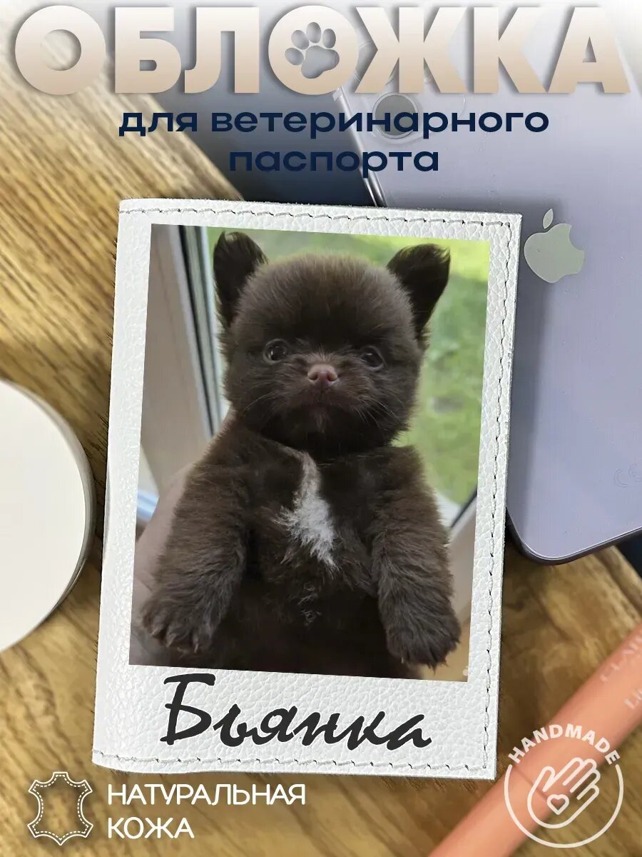 Обложка RenBel