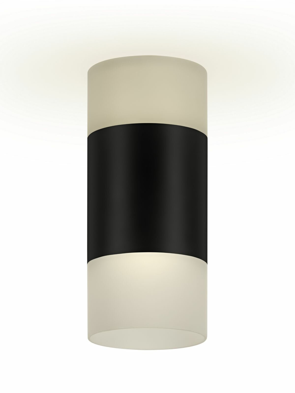 Потолочный светильник Ritter 17Вт белый/черный — фото 1