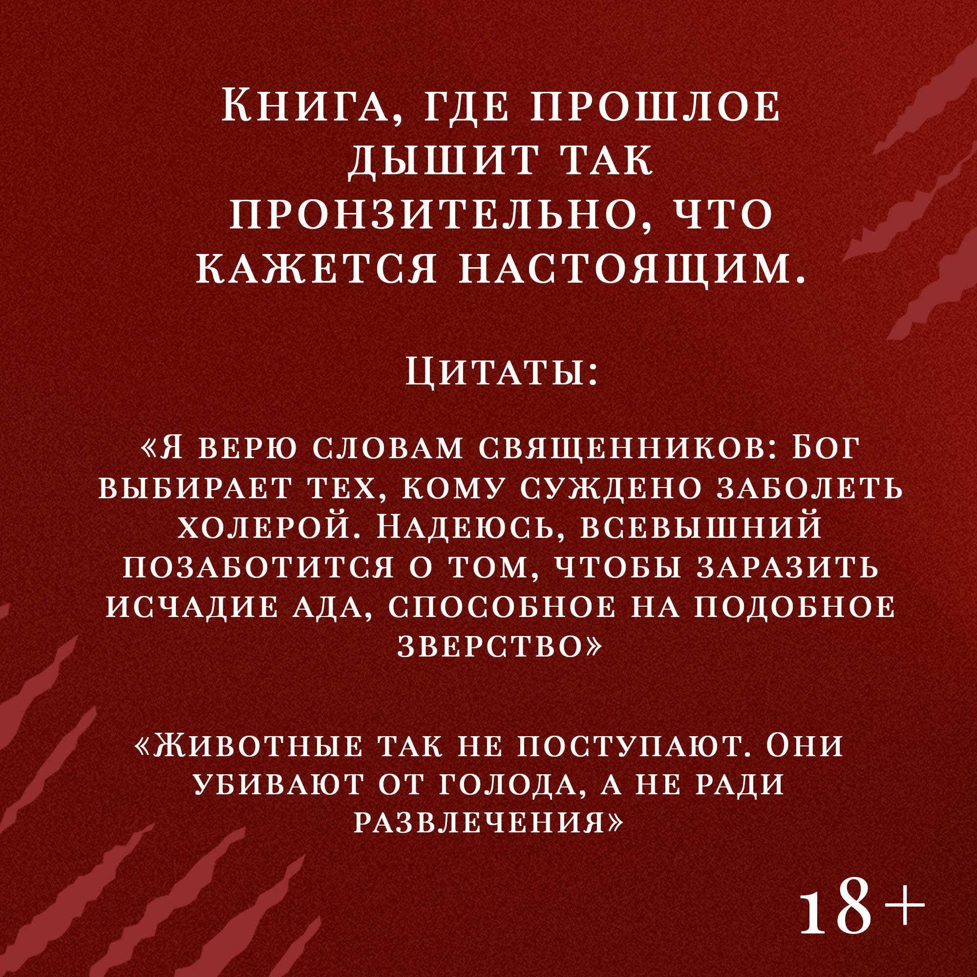 Книга Зверь. Кармен Мола. Издательство Синдбад. Твердый переплет — фото 1