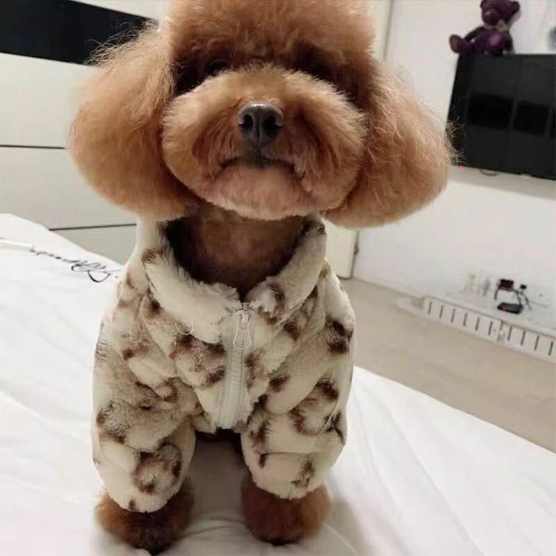 Одежда для животных — фото 1