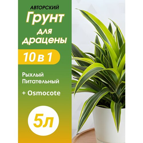 фото Грунт для драцены 5 л готовый