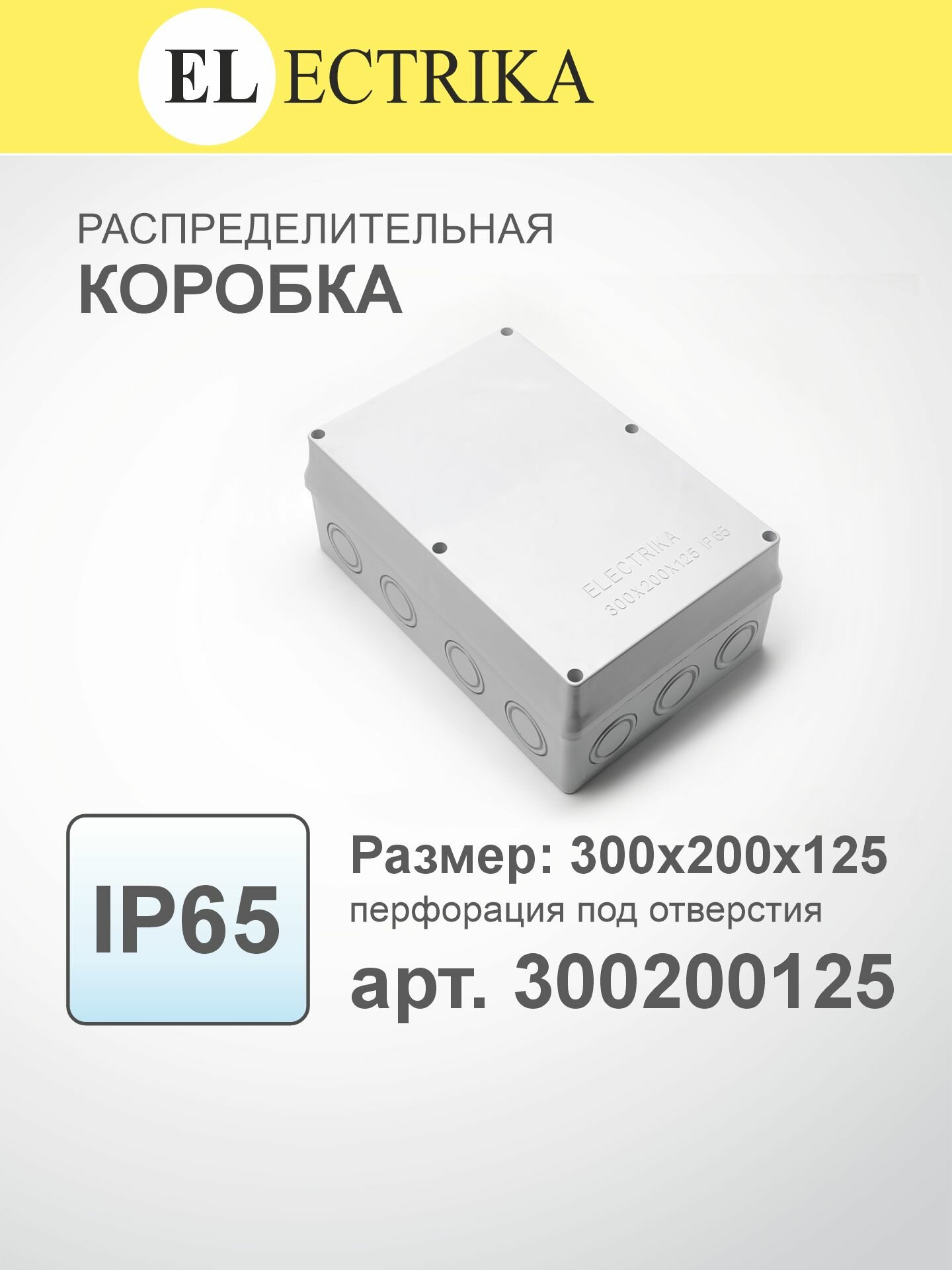 Коробка распределительная 300x200x125мм IP65 ELECTRIKA