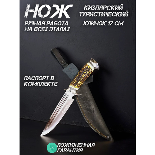 Нож туристический Кизлярский, нержавеющая сталь, кованый, с кожаным чехлом, 170 мм