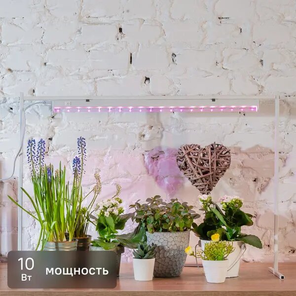 Фитосветильник линейный светодиодный Uniel 10 В IP20 570 мм красно-синий спектр розовый свет