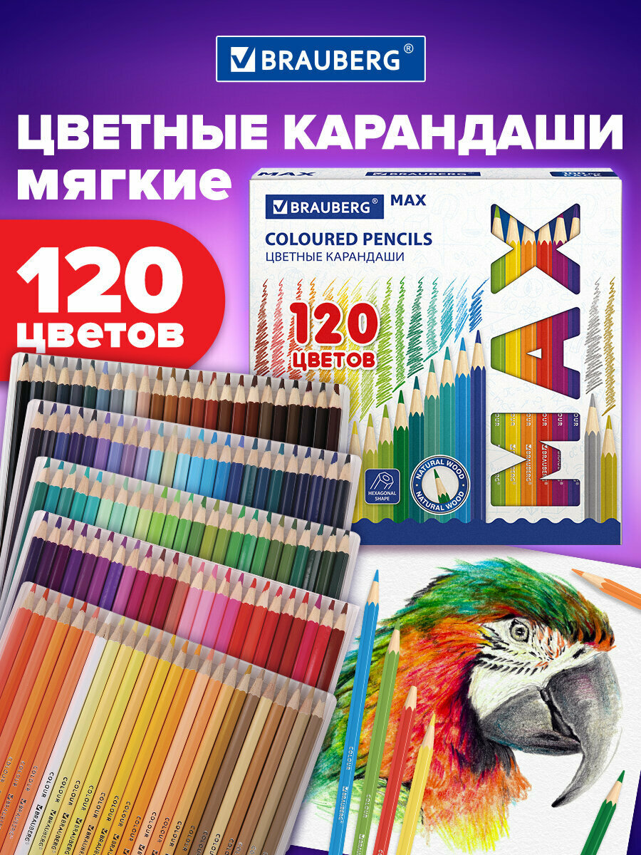 Карандаши цветные супермягкие для рисования детям в школу набор 120 цветов грифель 33 мм шестигранные натуральное дерево Brauberg Max 182006