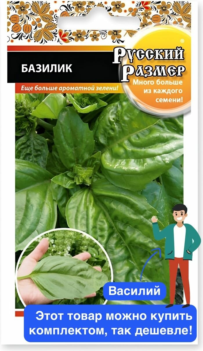 Базилик Русский размер