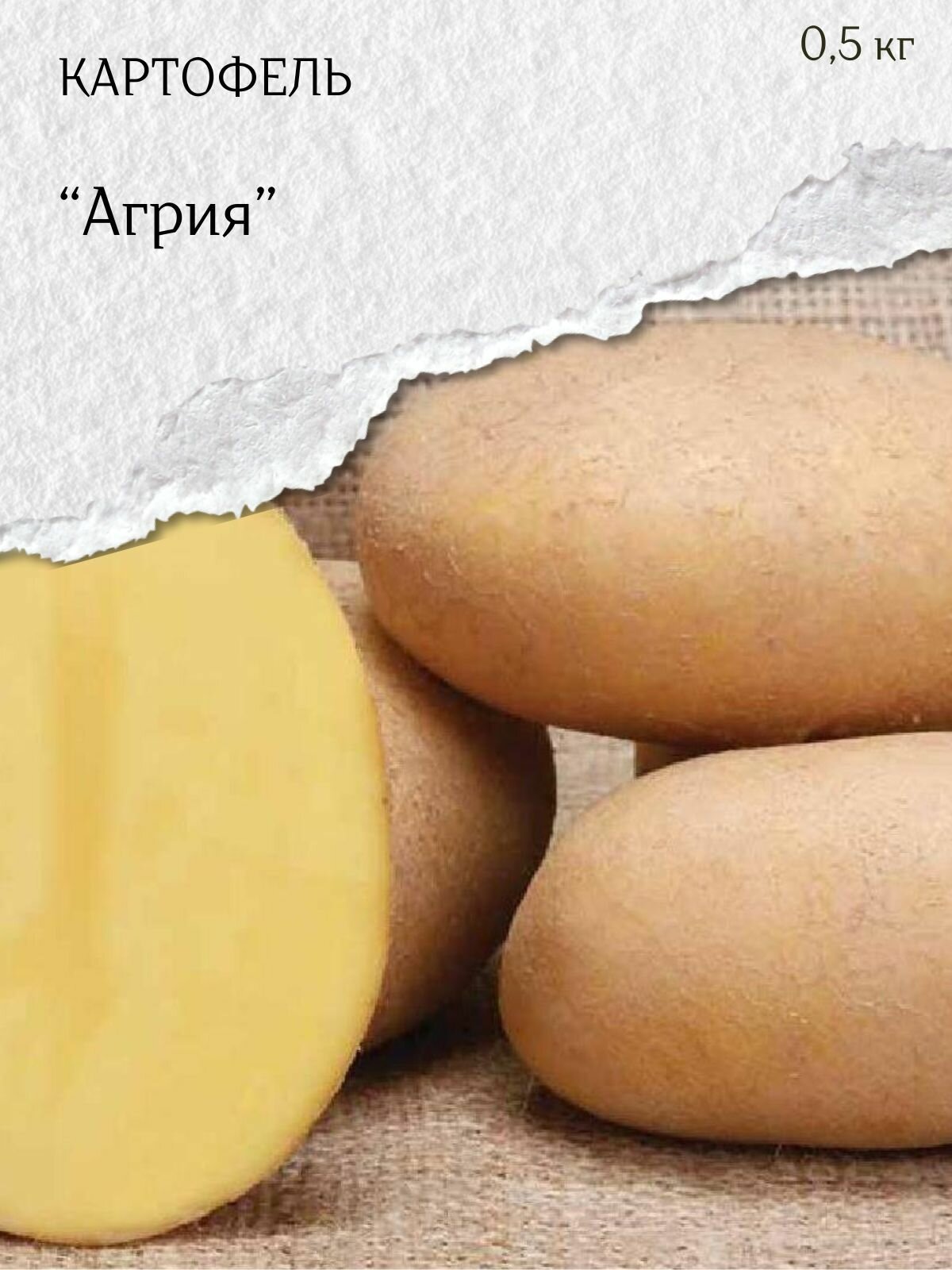 Картофель семенной белый Агрия клубни на посадку 500 гр.
