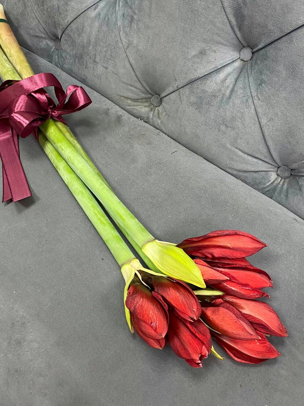 Букет из красных амариллисов под ленту (3 штуки)