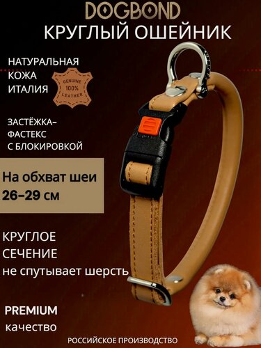 Изображение товара Dogbond Ошейник для шпица круглый кожаный 26-29 см