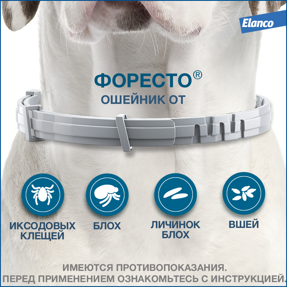 Ошейник Форесто (Elanco) от клещей и блох для собак до 8кг — фото 1