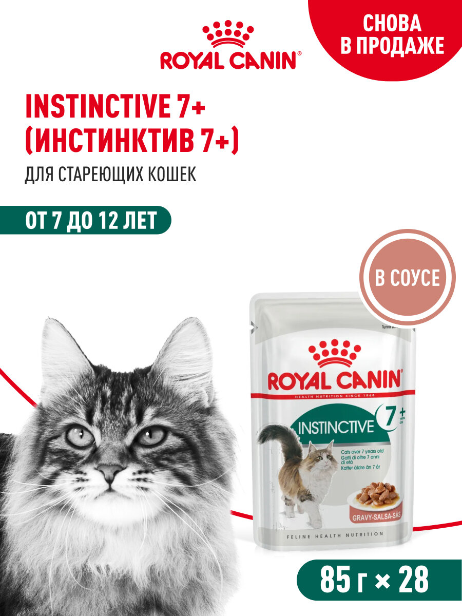 Royal Canin INSTINCTIVE 7+ (ИНСТИНКТИВ 7+) Корм консервированный полнорационный для кошек в возрасте старше 7 лет, мелкие кусочки в соусе, 28шт по 85 г