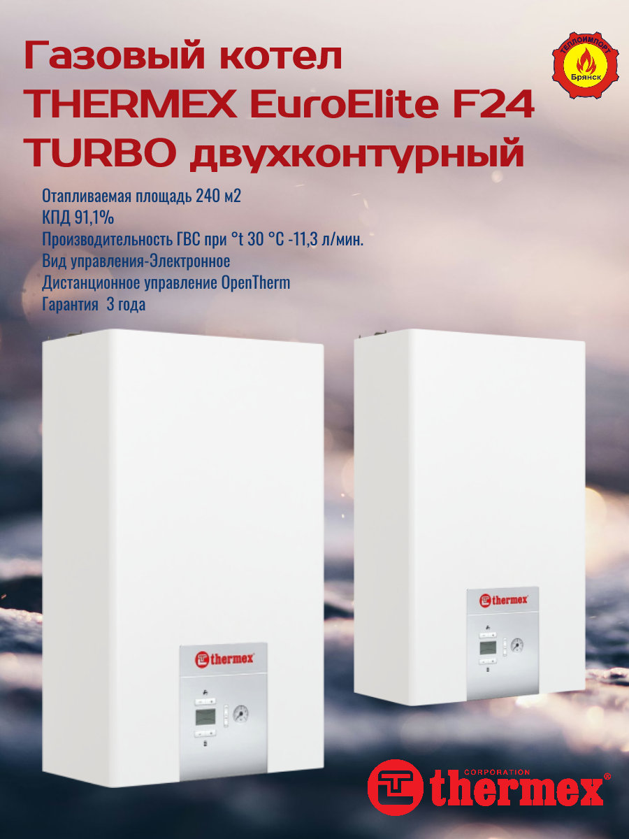 Газовый котел THERMEX EUROELITE F24, двухконтурный, закрытая камера сгорания.