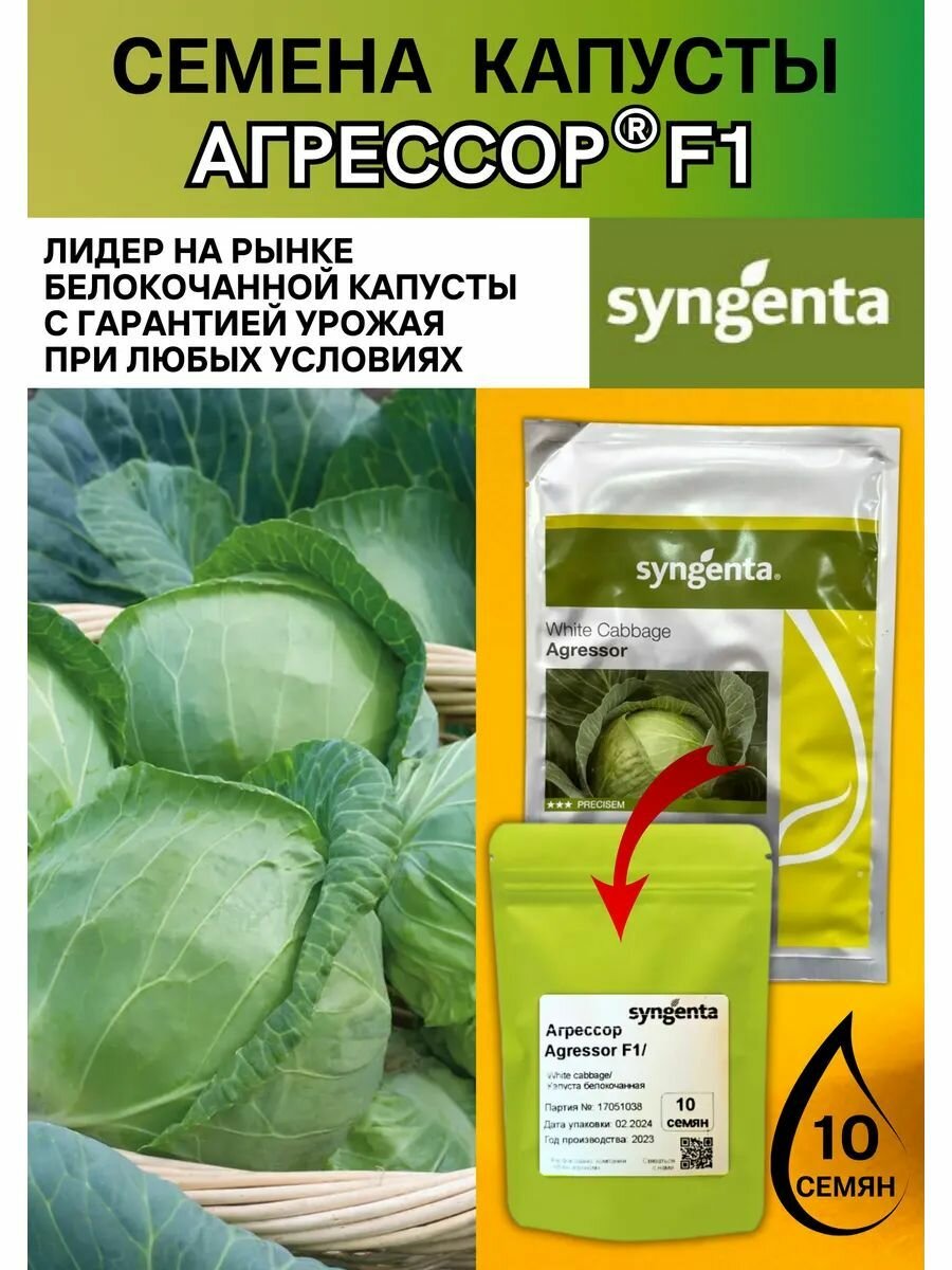 Капуста белокочанная Агрессор F1 10 семян Syngenta профессиональные семена