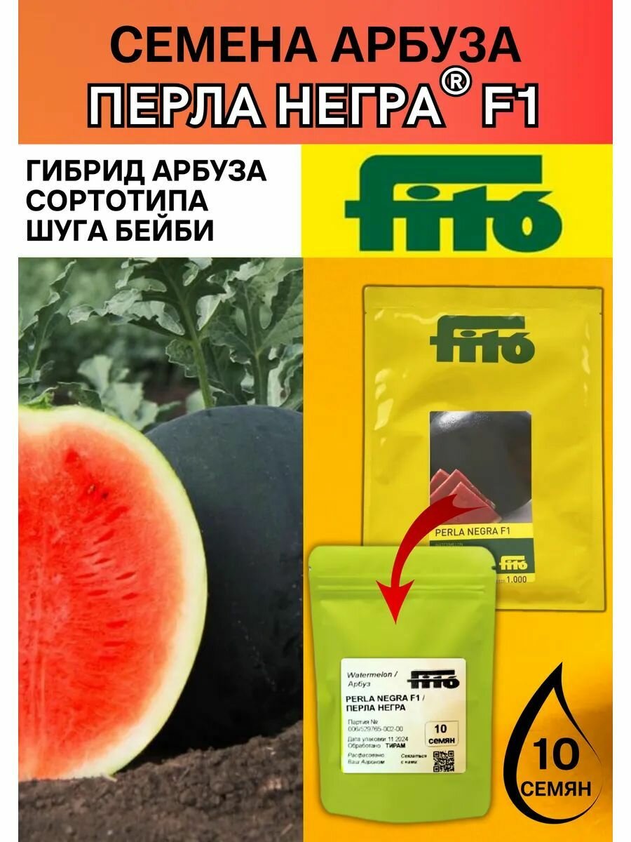 Профессиональные семена арбуза Перла Негра F1 FITO типа Шуга бейби 10 штук