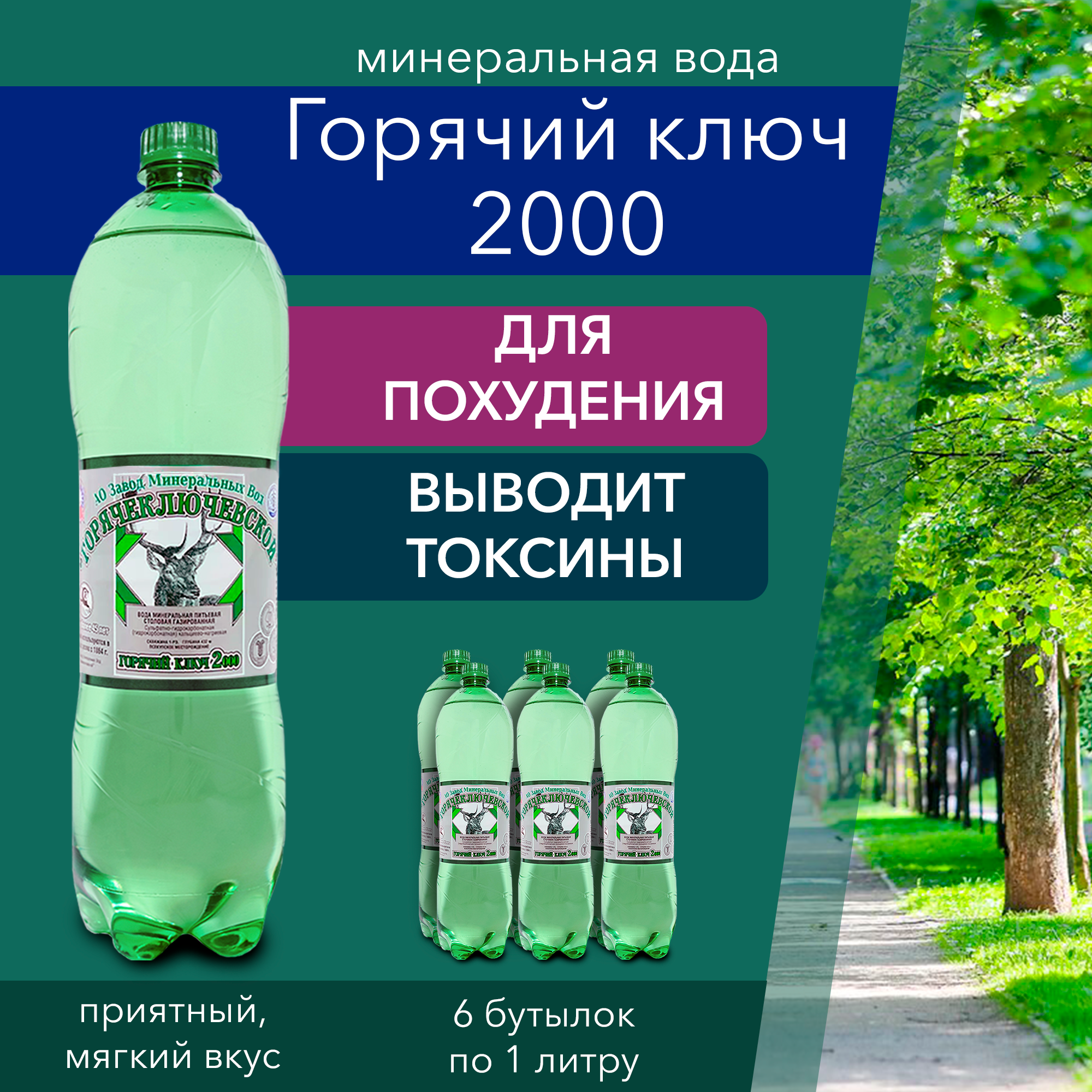 Вода Горячий Ключ 2000. Объем 1л*6. Вода минеральная газированная природная целебная лечебная, выводит токсины, для детей