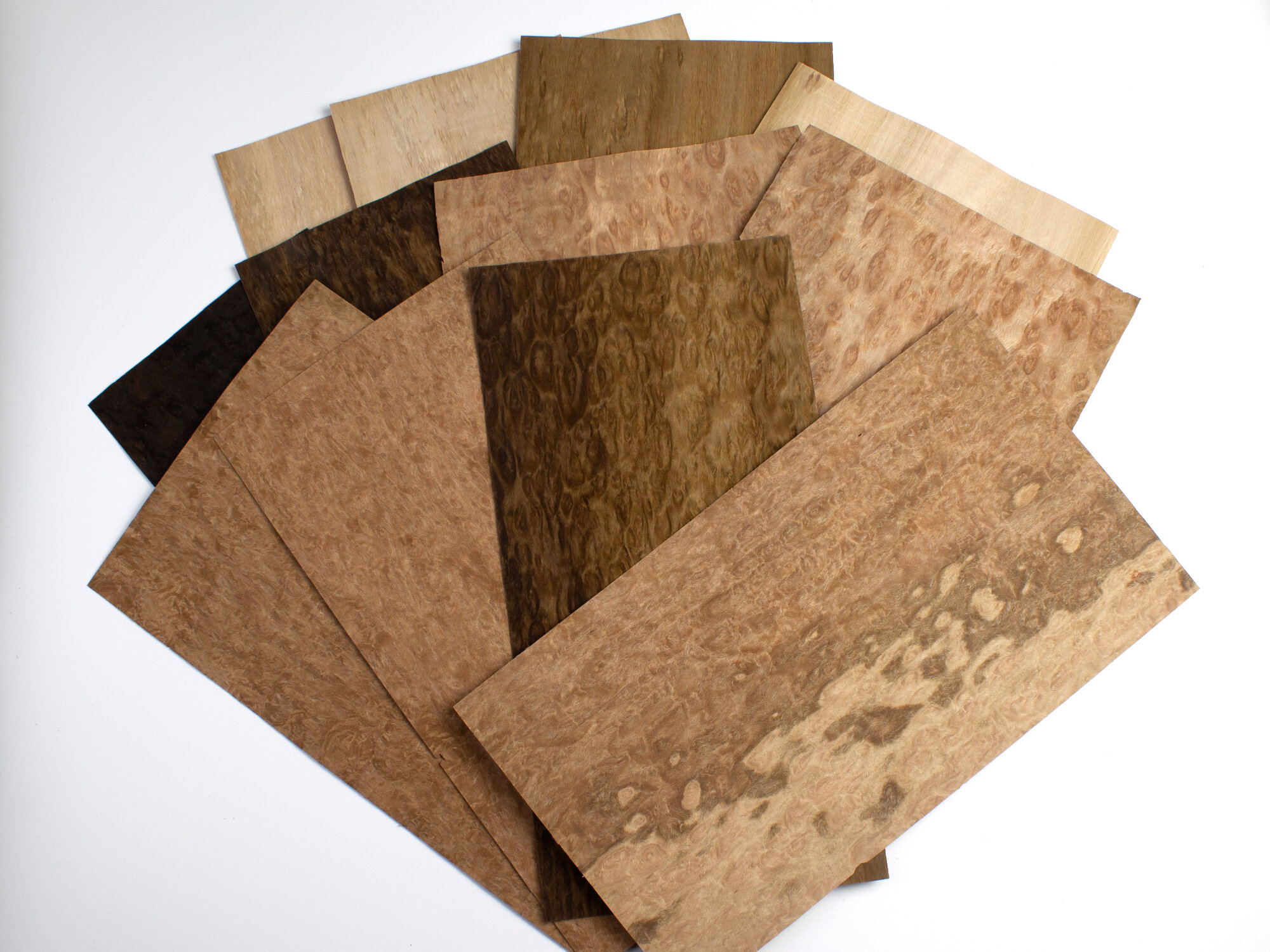 Набора шпона Эвкалипта капового толщиной 0.6мм 12 листов длина 360мм