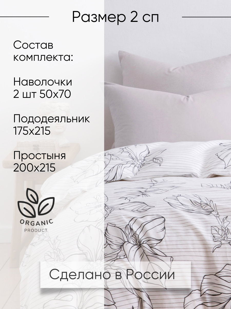 Постельное белье 2 спальное, наволочки 50х70 Ночь Нежна Джудит, 100% хлопок, ткань бязь — фото 1