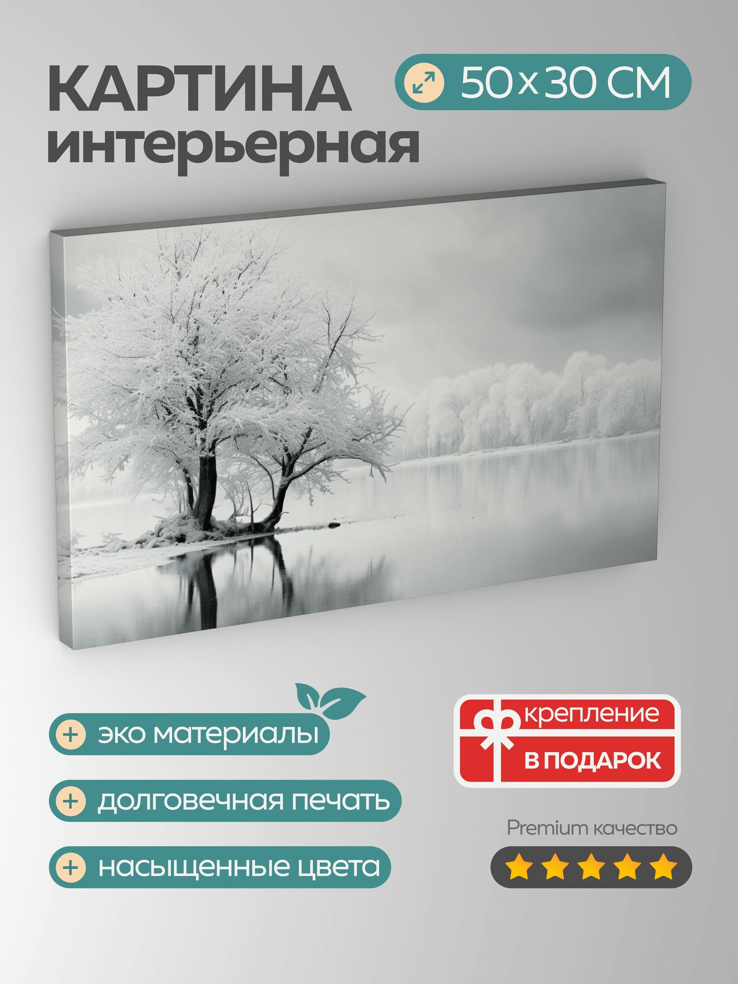 Картина на холсте интерьерная 50х30 см, черно-белая фотография, снежный пейзаж, замерзшее озеро, заснеженные деревья