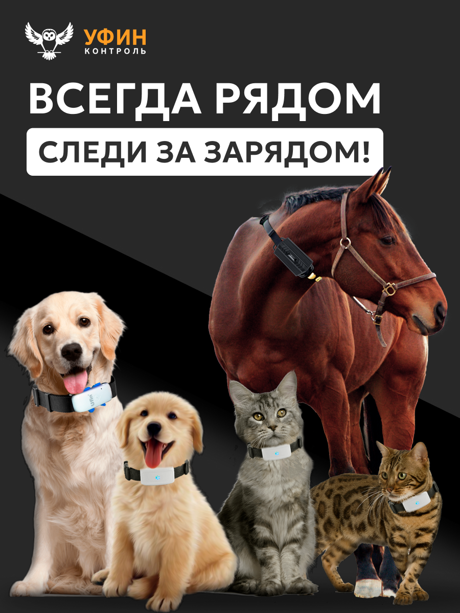 Изображение GPS трекер магнитный для автомобиля, животных и грузов, IP65