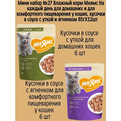 Мини набор №27 Влажный корм Мнямс для домашних кошек, кусочки в соусе с уткой и ягненком, 12 шт х 85 гр