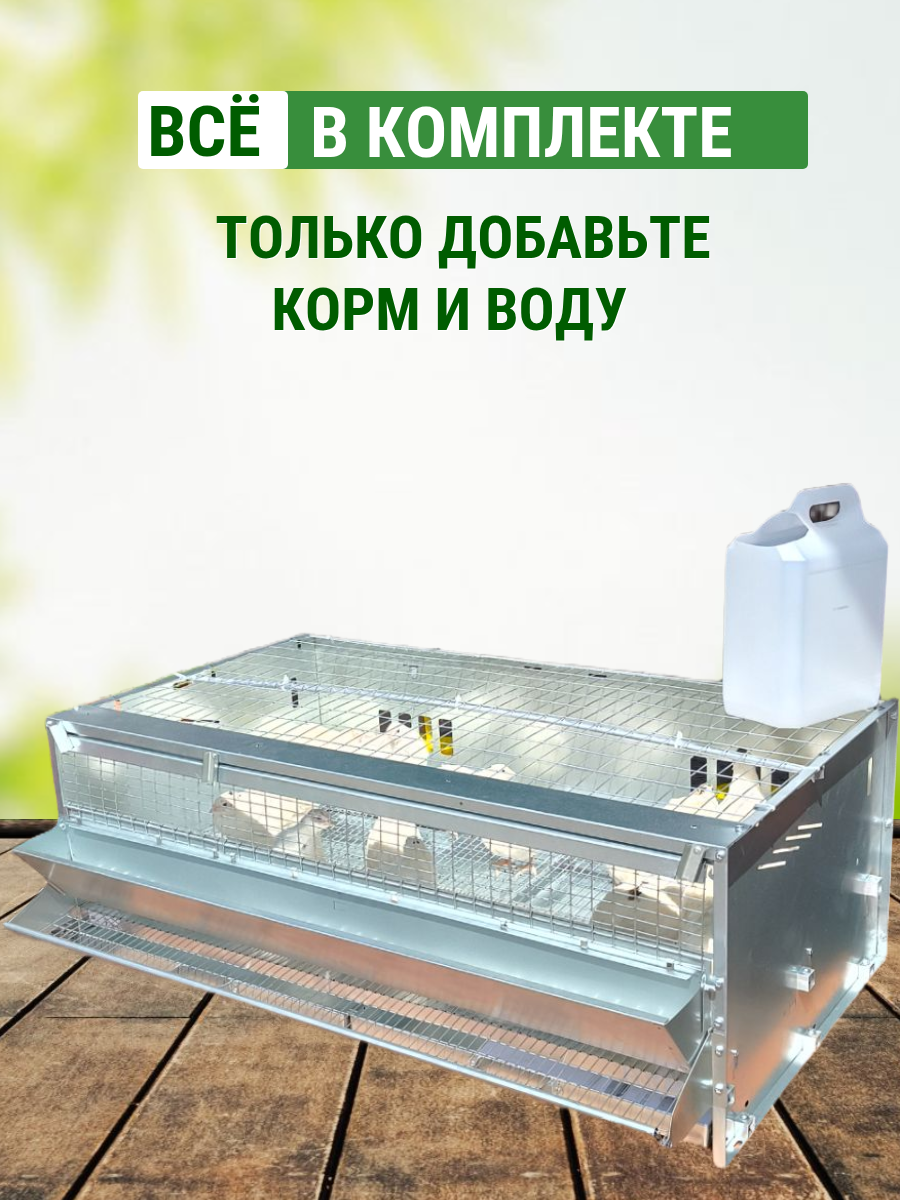 Клетка для перепелов на 45 голов Оптима Подворье, универсальная 2в1, в полной комплектации — фото 1