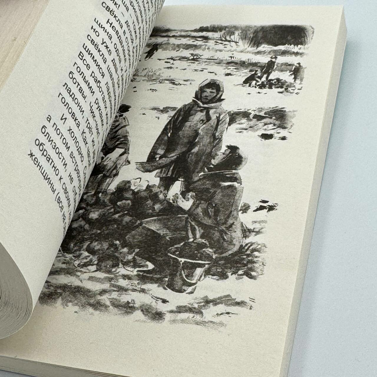 Книга Г. Н. Троепольский "Белый бим черное ухо", 255 страниц, мягкий переплет — фото 1