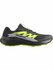 Кроссовки Salomon Alphaglide Gtx