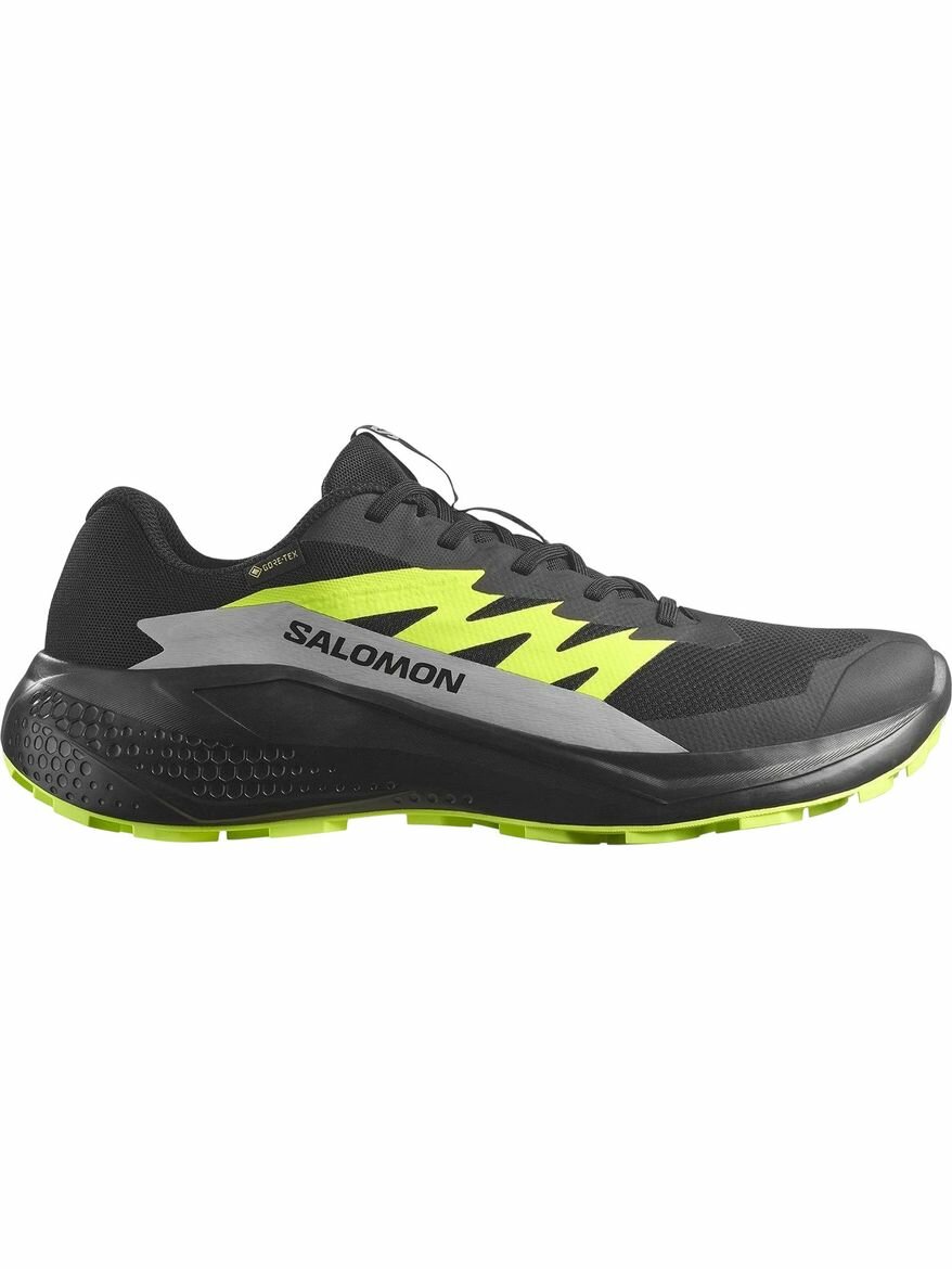Кроссовки Salomon Alphaglide Gtx