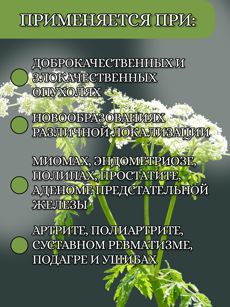 Картинки Настойка болиголова "Благодея-Алтай" 100 мл, пластиковая бутылка