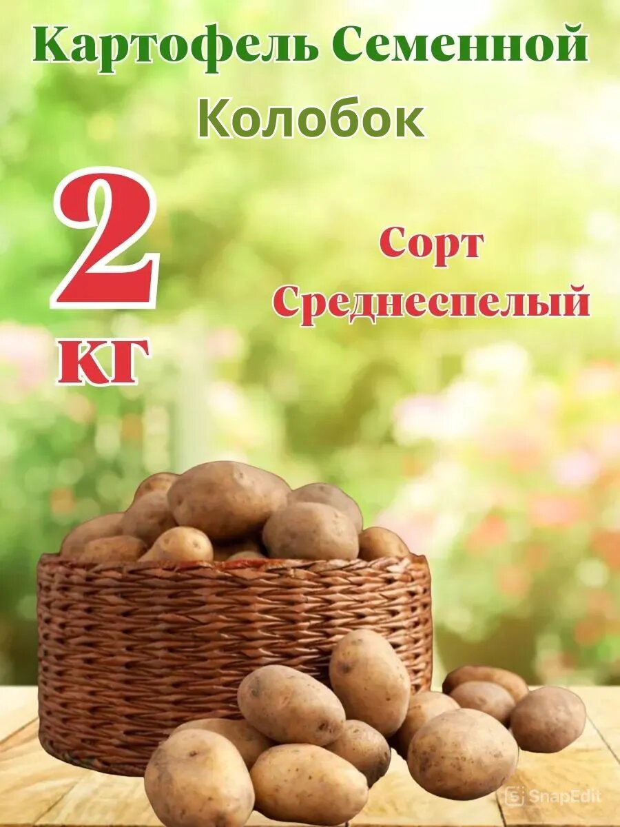 Картофель семенной 