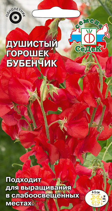 Семена цветок Душистый горошек