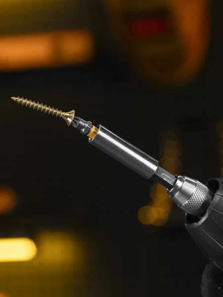 Набор бит для шуруповерта PZ1 x 25, S2, 10 шт, DENZEL 11653 — фото 1