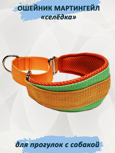 Изображение товара Ошейник для собак типа "Селёдка" мартингейл. Одуванчик. S