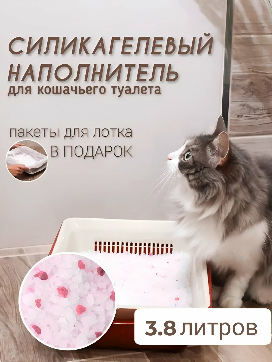 Силикагелевый наполнитель, для кошек, "Freshness", с ароматами лаванды и клубники - Лаванда