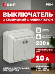 Выключатель двухклавишный накладной EKF с индикатором 10А, белый, коллекции Рим