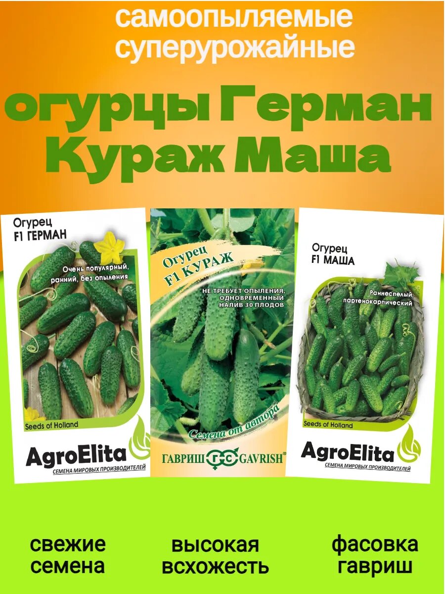 Семена огурцов самоопыляемых Кураж Герман Маша 3 пак 20 семян