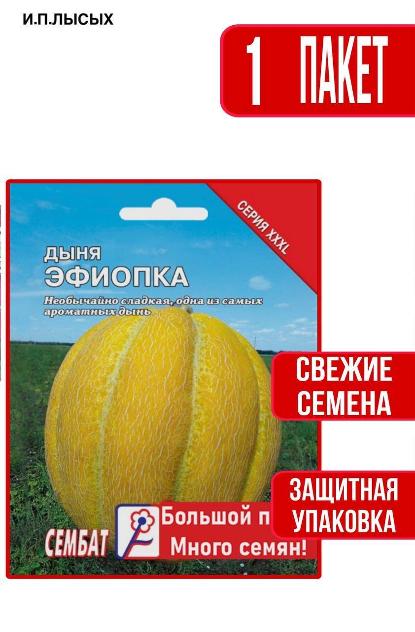 Семена Дыня 