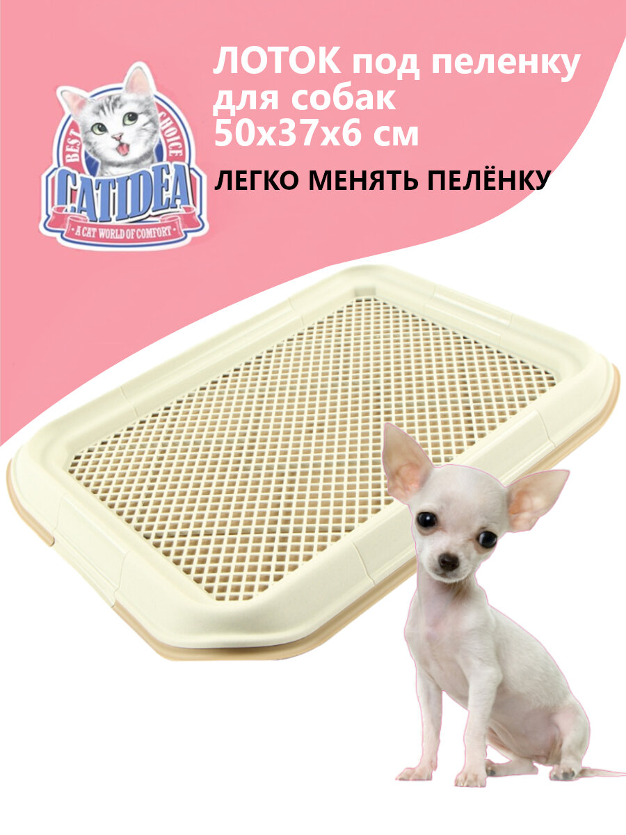 Лоток для собак мелких пород Catidea 50х37х6 см под пеленку бежевый