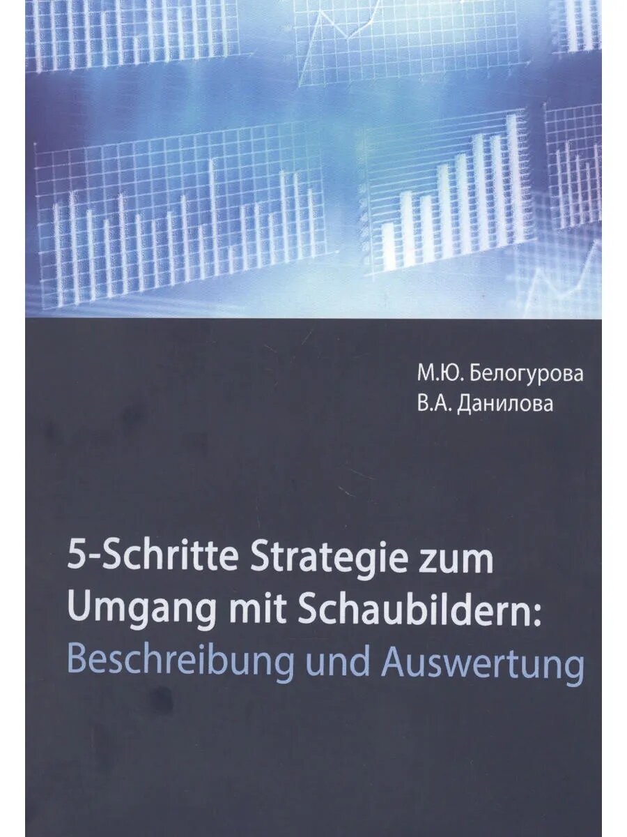 5-Schritte-Strategie zum Umgang mit Schaubildern. Beschreibu