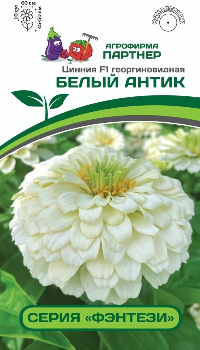 Цинния Белый Антик F1 георгиноцветная