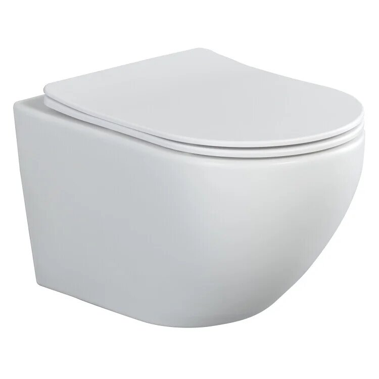 Унитаз подвесной Splendy Light LI10152VTYWMW с микролифтом, безободковый, без бачка, антивсплеск, фарфоровый, белый, матовый, овальный, сиденье для унитаза в комплекте