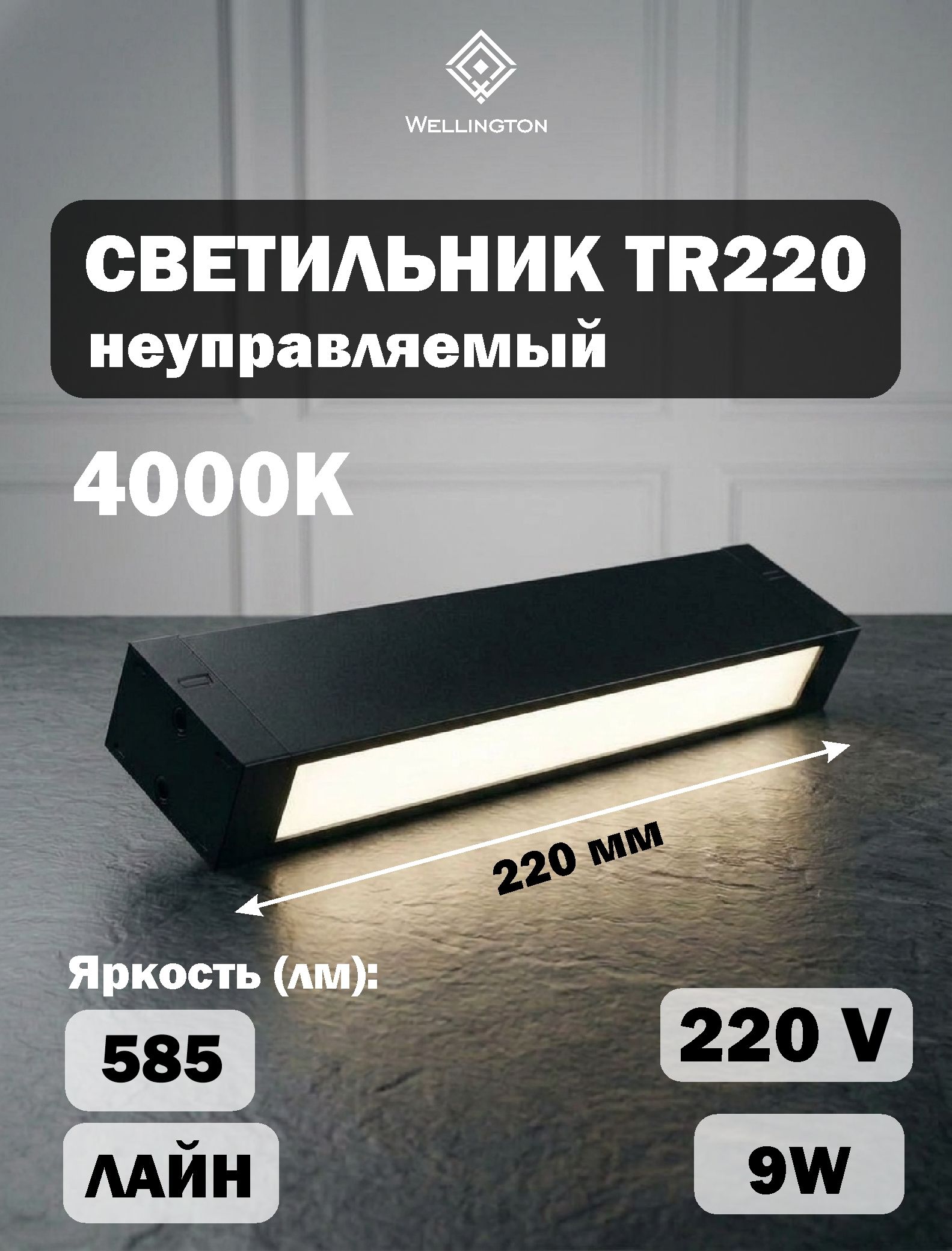 Светильник "омнис" TR220 Лайн 9W 4000K 220*25*41 черный