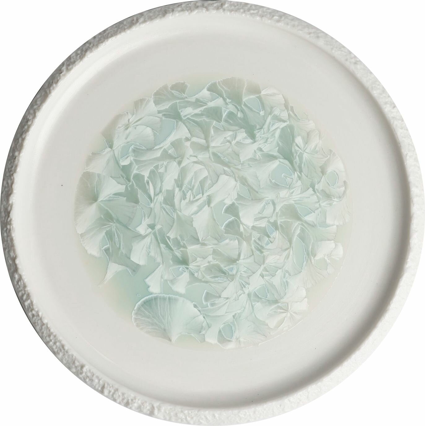 Тарелка десертная с вертикальным бортом Home Chef Frost, 15х2 см