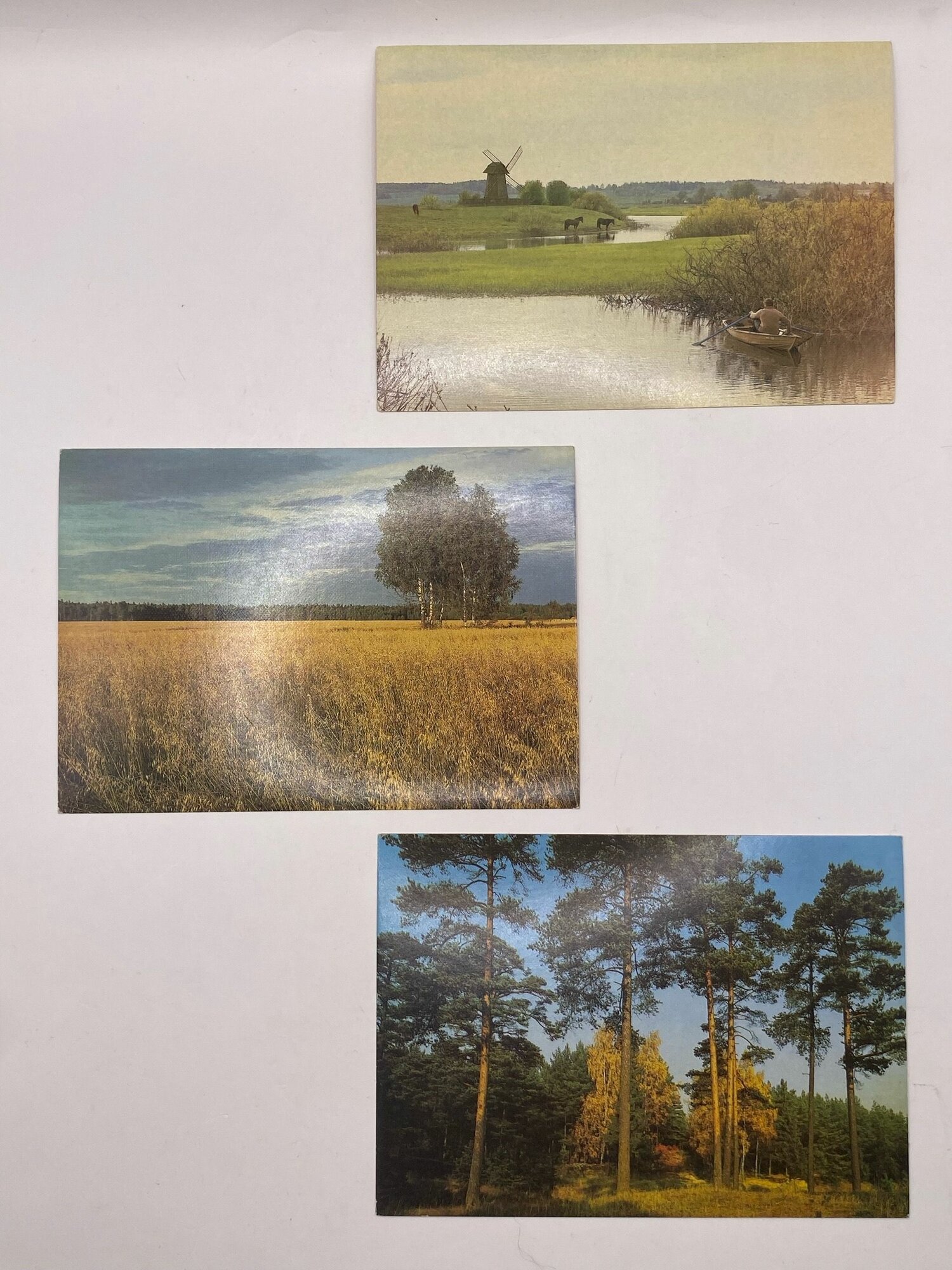 Набор винтажных открыток "Природа". СССР. 3 шт. Размеры: 15х10.5 см.