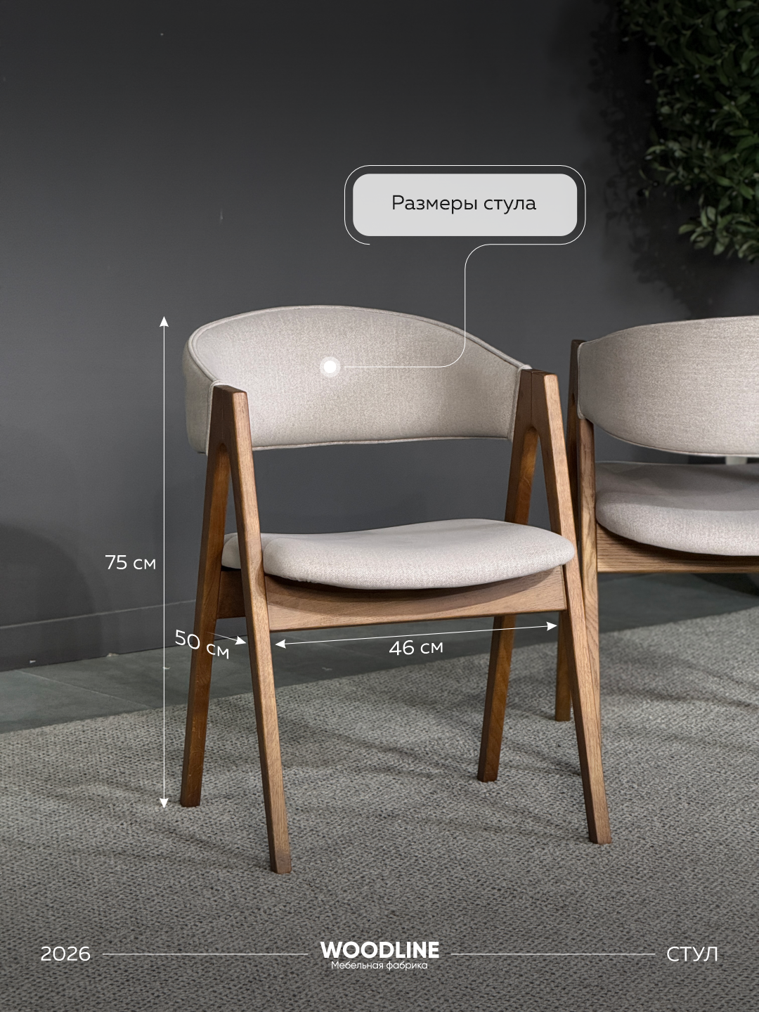 Стул Дублин — фото 1