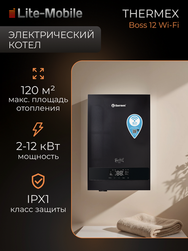 Изображение товара Электрический котел Thermex Boss 12 Wi-Fi, настенный, расширительный бак 6 л, черный
